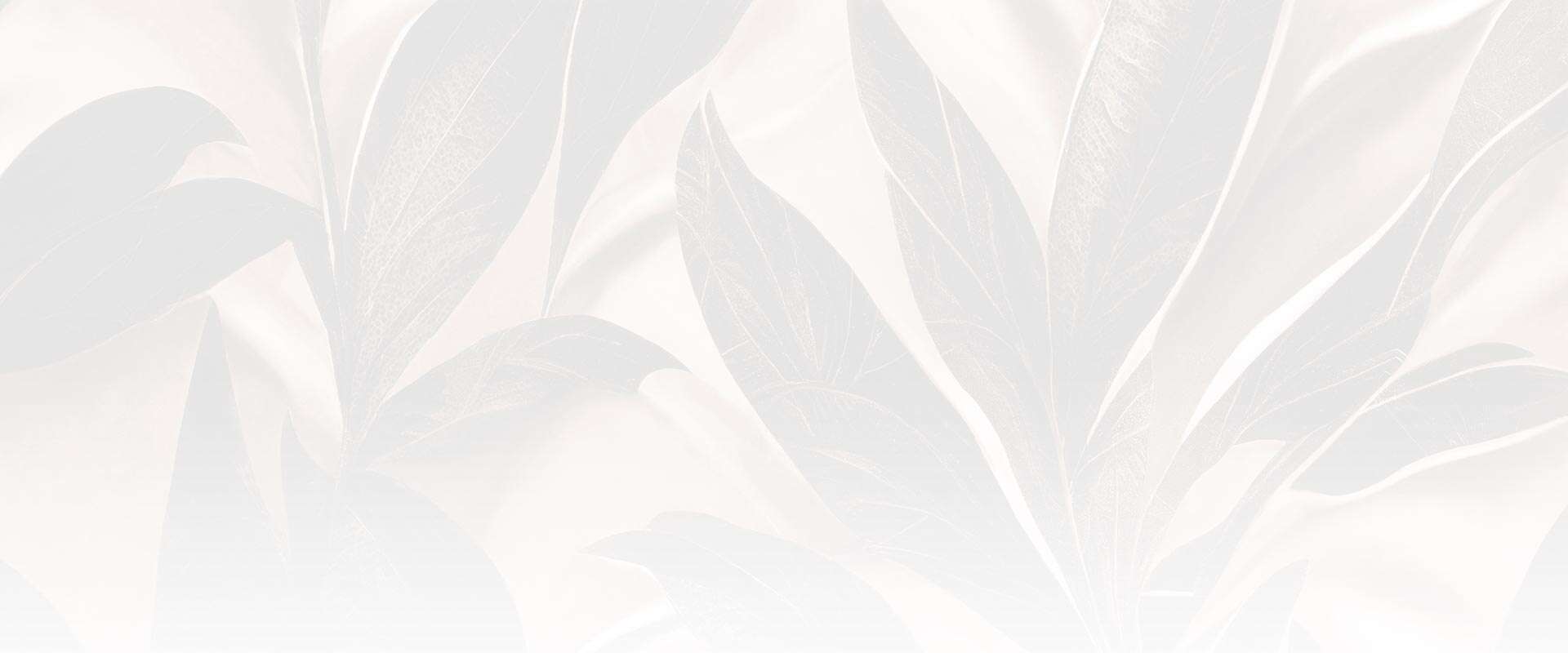 Start Your Journey With a Top-Rated Dr. Phillips Aesthetics in Winter Park, FL